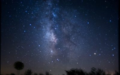 ನಕ್ಷತ್ರ ಬರೆದ ಒಟ್ಟು ಕವಿತೆಗಳು