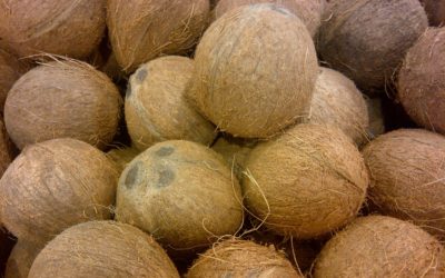 ವಸ್ತಾರೆ ಕಾಲಂ – ವರ್ತಮಾನಕ್ಕೆ ಢಿಕ್ಕಿ ಹೊಡೆಯುವ ತೆಂಗಿನ ಕಾಯಿಗಳು