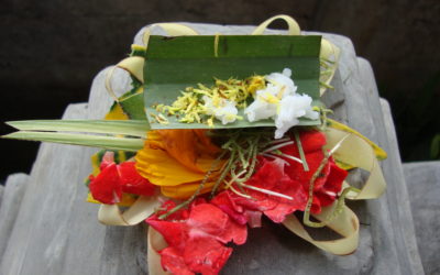 ವೈದೇಹಿ ಬರೆಯುವ ಕಳೆದುಹೋದ ಗಿರಿಬಾಲೆಯ ಚರಿತ್ರೆ – ೩