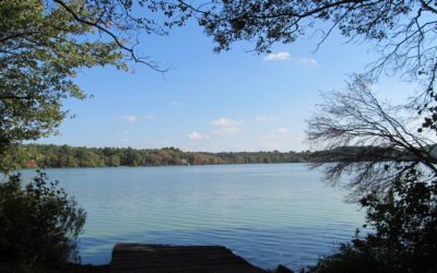 ತರೀಕೆರೆ ಏರಿಯಾ: ಬಂಗಾಳದ ಪುಖೂರ್ ಕೆರೆಗಳು