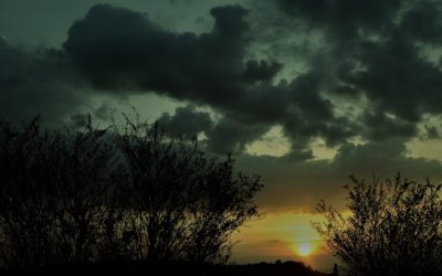 ನೀನೊಂದು ಅಲುಗಾಡದ ಗೊಂಬೆಯ ಹಾಗೆ: ನಕ್ಷತ್ರ ಬರೆದ ದಿನದ ಕವಿತೆ