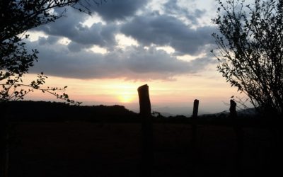 ನೀನು ಒಳಗೆ ಸೀಳಿಕೊಂಡು:ನಕ್ಷತ್ರ ಬರೆದ ದಿನದ ಕವಿತೆ