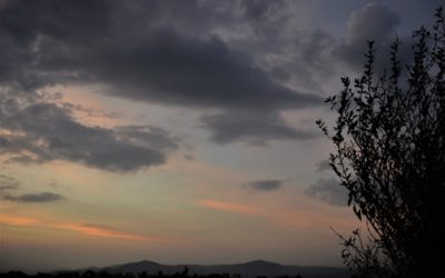 ನಾನೀಗ ಸತ್ತಂತೆ, ಮತ್ತೆ ಹುಟ್ಟಿದಂತೆ:ನಕ್ಷತ್ರ ಬರೆದ ದಿನದ ಕವಿತೆ