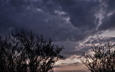 ನೀನು ಎಂದರೆ ಏನು ನನಗೆ?:ನಕ್ಷತ್ರ ಬರೆದ ದಿನದ ಕವಿತೆ