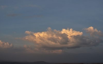 ಈ ಮಿಂದ ಕೂದಲುಗಳು:ನಕ್ಷತ್ರ ಬರೆದ ದಿನದ ಕವಿತೆ