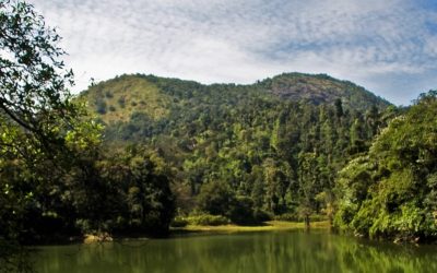 ನನಗೆ ಮೀಯುವ ಹುಚ್ಚು:ನಕ್ಷತ್ರ ಬರೆದ ದಿನದ ಕವಿತೆ