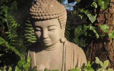 ತರೀಕೆರೆ ಏರಿಯಾ: ಧಮ್ಮದೀಕ್ಷೆಯೂ, ಯಶೋಧರೆಯರ ಕಷ್ಟಗಳೂ