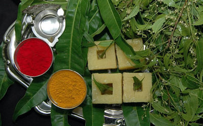 ಉಗಾದಿ ವಿಶೇಷ: ಮಾವಿನಕಾಯಿ ಚಿತ್ತ್ರಾನ್ನ