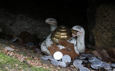 ನೆಟ್ಟಲ್ಲಿ ಕಮೆಂಟು ಎರಡು ಮಂಡೆಯ ಹಾವು ಕಾಣೋ