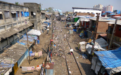 ಗೋಡೆಯ ಬಣ್ಣ ಮತ್ತು ಬೀದಿಯ ಬಣ್ಣ: ಸಿಂಧು ಸಾಗರ ಬರೆಯುವ ಲಾವಂಚ