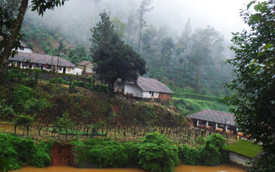 ಹಂಚಿಕೊಳಲಿನ ಅನುಬಂಧಗಳು: ನಾಗಶ್ರೀ ಅಂಕಣ