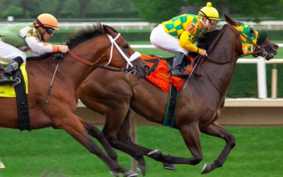 ಮಂಜುನಾಥನ ದಯೆಯಲ್ಲಿ ಕುದುರೆ ಜೂಜು: ಅನಿವಾಸಿಯ ಆಸ್ಟ್ರೇಲಿಯಾ ಪತ್ರ