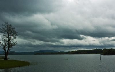 ಸರಗೂರಿನ ಅರಮನೆ : ಭಾರತಿ ನೆನಪಿನ ಓಣಿ