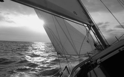 ಕಳ್ಳಕಾಕರ ನಾಡು, ಪಾಡು: ಅನಿವಾಸಿಯ ಆಸ್ಟ್ರೇಲಿಯಾ ಪತ್ರ