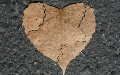 ಕೆ.ಟಿ ಗಟ್ಟಿ ಬರೆಯುವ ಬಿಸಿಲುಕೋಲು -ಭೂಮಿಯ ದುಃಖಗಳ ಲೆಕ್ಕಾಚಾರ