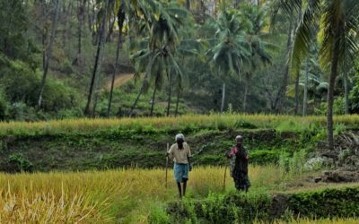ಹೇಮಾ ಬರೆಯುವ ಅಪ್ಪನ ನೆನಪುಗಳು