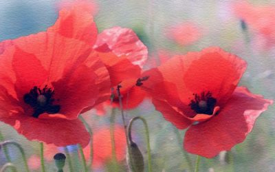 ಭಾನುವಾರದ ಸ್ಪೆಷಲ್ – ಎಸ್.ಮಂಜುನಾಥ್ ಬರೆದ ಕವಿತೆ-ಸಹಜ ಒಳಿತಿಗೊಂದು ಸಮಾರಂಭ