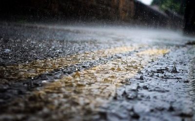 ಸಹ್ಯಾದ್ರಿ ನಾಗರಾಜ್: ಮಳೆ ಕಾವ್ಯಶಾಲೆ