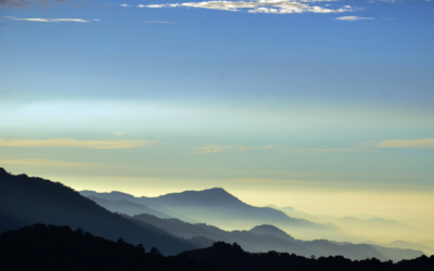 ಜೀವನವೆಂಬ  ಆಹಾರ ಚಕ್ರ: ಅಬ್ದುಲ್ ರಶೀದ್ ಅಂಕಣ