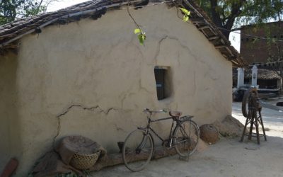 ದೇವನೂರು ಬರೆದ ಮಾಜೀ ಪೈಲ್ವಾನನ ಹಾಲಿ ಜೀವನ