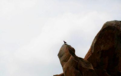 ಉತ್ತರ ದೇಶದ ಕಥೆಗಳು: ಅಬ್ದುಲ್ ರಶೀದ್ ಅಂಕಣ