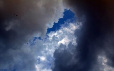 ಕವಿ ಹೃದಯ ಮತ್ತು ಕಾಡುಹಂದಿ: ಅಬ್ದುಲ್ ರಶೀದ್ ಅಂಕಣ