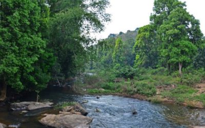 ಮೂಷಿಕ ವಿಜ್ಞಾನಿ ಹೇಳಿದ ಸಾಮಾಜಿಕ ಕಾಮಿಡಿಗಳು: ಅಬ್ದುಲ್ ರಶೀದ್ ಅಂಕಣ