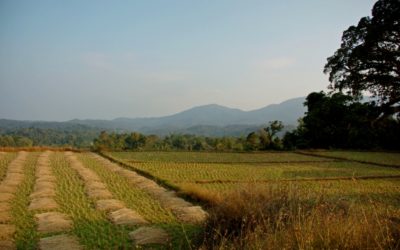 ಮಲಯರ ಭಗವತಿಯ ಪಾತ್ರಿ ಹೇಳಿದ ಕಥೆ: ಅಬ್ದುಲ್ ರಶೀದ್ ಅಂಕಣ