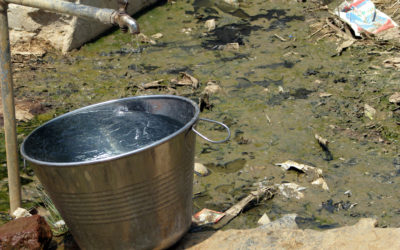 ನಳಾ ಬಂದ್ರ… ಗೌರಿ ಕುಡಸೋದು: ಪ್ರಶಾಂತ ಆಡೂರ್ ಅಂಕಣ