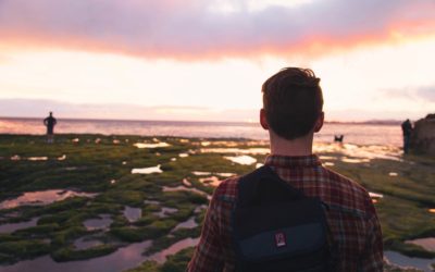 “ವಿಕಸ”ದ ಹೊತ್ತಲ್ಲಿ ಒಂದಷ್ಟು:ಅನಿವಾಸಿ ಆಸ್ಟ್ರೇಲಿಯಾ ಪತ್ರ