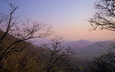 ಎಳ್ಳು ಬೆಲ್ಲ ಸಕ್ಕರೆ ಅಚ್ಚು ಸಂಕ್ರಾಂತಿ: ಭಾರತಿ ಬರಹ