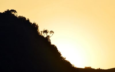 ಸಿಲೋನ್ ಅಣ್ಣಾಚಿಯ ಕಥೆ: ಅಬ್ದುಲ್ ರಶೀದ್ ಅಂಕಣ