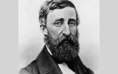 ರಗಳೆಗಳಿಲ್ಲದ ಥೋರೋನ ಲೋಕದಲ್ಲಿ: ಸಿಂಧು ಸಾಗರ ಬರೆಯುವ ಲಾವಂಚ