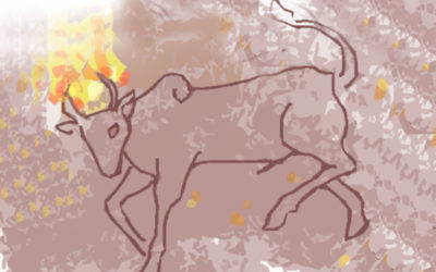 ಬಾರಿಯಂಡ ಜೋಯಪ್ಪ ಬರೆದ ಕಾಟಿಬೆಟ್ಟದ ಸರಣಿ.