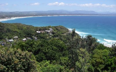 ಬ್ರಿಸ್ಬನ್ನಲ್ಲಿ ಕನಕಾಂಬರ:ವಿನತೆ ಶರ್ಮ ಅಂಕಣ