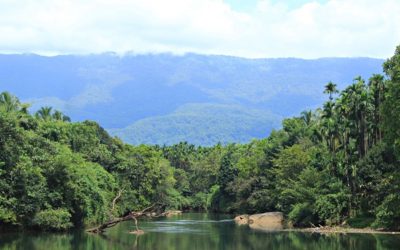 ಮಾಳಕ್ಕೆ ಬಸ್ಸು ಬಂದ ಪ್ರಸಂಗ:ಪ್ರಸಾದ್ ಶೆಣೈ ಕಥಾನಕ