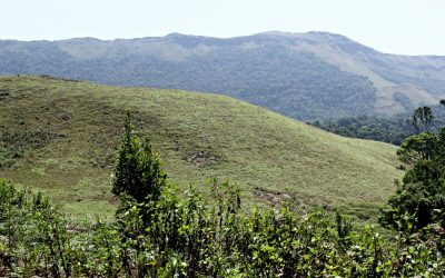 ತುಂಗೆ ಮತ್ತು ಭದ್ರೆಯ ಬಳುಕು:ಪ್ರಸಾದ್ ಶೆಣೈ ಕಥಾನಕ