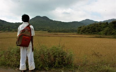 ಮಾವಿನ ಮರದ ಬ್ರಹ್ಮರಾಕ್ಷಸ:ಮುನವ್ವರ್ ಬರೆಯುವ ಪರಿಸರದ ಕಥೆಗಳು
