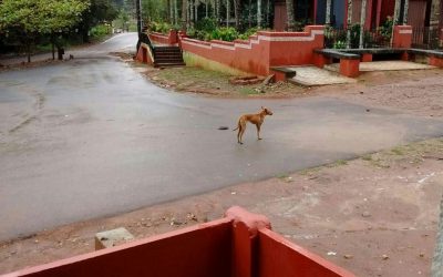 ಧೀರೋದ್ಧಾತ ನಾಯಕ ನಾಯಿಕೆಯರ ಅಸಾಧಾರಣ ಕಥೆಗಳು