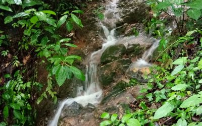 ನಿಂತ ಕೆರೆಯಲ್ಲಿ ನೋಡಲು ಏನುಂಟು ಏನಿಲ್ಲ!