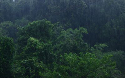 ಕೇಶವ ಡೋಂಗ್ರೆಯವರು ಮಹಾನಗರವನ್ನು ಪರಿತ್ಯಜಿಸಿ ಬಂದ ಪ್ರಸಂಗ
