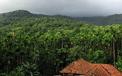 ಸಣ್ಣಗೆ ಹನಿವ ಮಳೆಯ ಸದ್ದಲ್ಲಿ ಕಾಡು ಮತ್ತಷ್ಟು ಮಾತಾಡಿತು