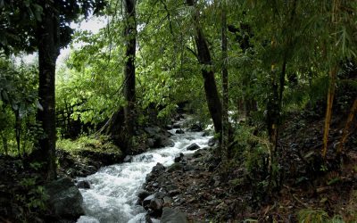 ನೀರೊಳಗೂ ಇರುವ ಮೀನು ಮಣ್ಣೊಳಗೂ ಸಿಗುವ ಮೀನು