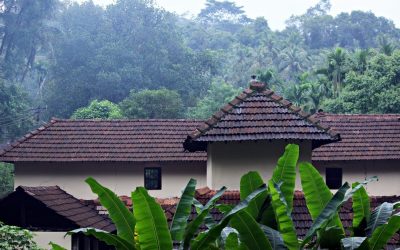 ದುರ್ಗ ದೇವರ ಕಾಡಲ್ಲಿ ಮಗುವಿನಂತಹ ಸಾಯಂಕಾಲ:ಪ್ರಸಾದ್ ಶೆಣೈ ಕಥಾನಕ