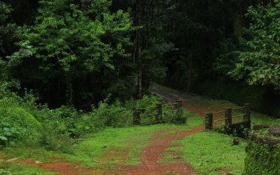 ಮಲೆಬೆಟ್ಟುವಿನಲ್ಲಿ ಮಳೆ ಬಿದ್ದ ಇರುಳು:ಪ್ರಸಾದ್ ಶೆಣೈ ಕಥಾನಕ
