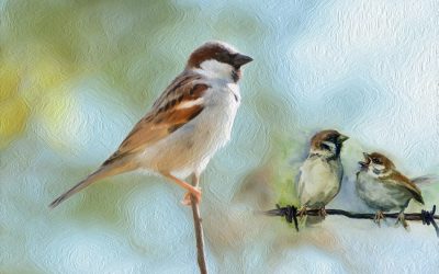 ’ಕಾಳಿಯ ಬಗಲಲ್ಲಿ’:ನಾಗರೇಖಾ ಗಾಂವಕರ ಬರೆದ ಸಣ್ಣ ಕಥೆ