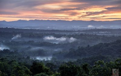 ಪ್ರವಾಸವೆಂಬ ‘ದರ್ಶನ’:ಸುಜಾತಾ ತಿರುಗಾಟ ಕಥನ