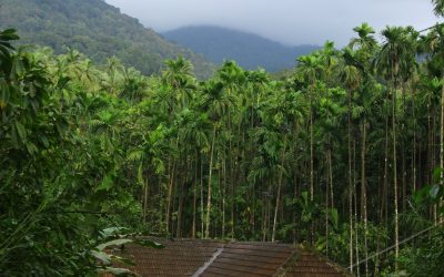 ದೊಡ್ಡ ಬೆಟ್ಟದ ಕೆಳಗಿರುವ ಹಳೆಮನೆಯಲ್ಲಿ ಒಂದಿರುಳು…