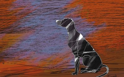 ಟೈಗರ್:ಸುನೈಫ್ ಅನುವಾದಿಸಿದ ವೈಕಂ ಮುಹಮ್ಮದ್ ಬಷೀರ್ ಕಥೆ