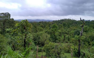 ಮಲೆನಾಡ ಮಳೆದಿನದ ಮಾತುಗಳು ಮೌನಗಳು